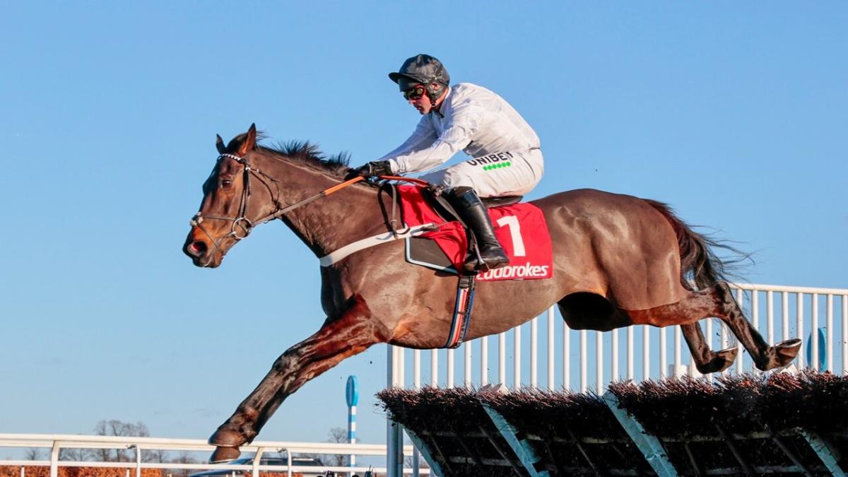 Racehorse Constitution Hill