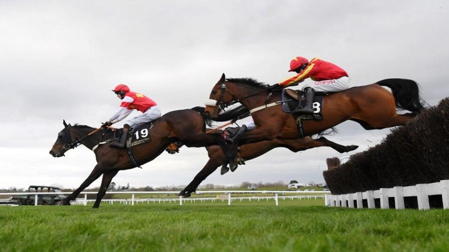 Coole Cody jumps at Cheltenham.jpg