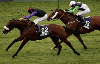 Iron Major can shed his maiden tag in the 4.30 at Tipperary today