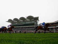 Delegator looks likely to go off as the even money favourite at Goodwood