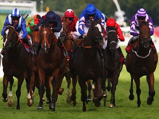 Docofthebay (blue & pink): A bit of a character, but has stacks of solid big-handicap form