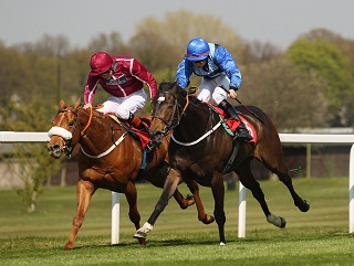 Duchess Dora: Has a good chance in her hat-trick bid