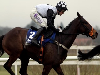 Dunguib and jockey Brian O'Connell will both be looking to restore their reputation.