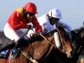David Pipe's Faasel (red)