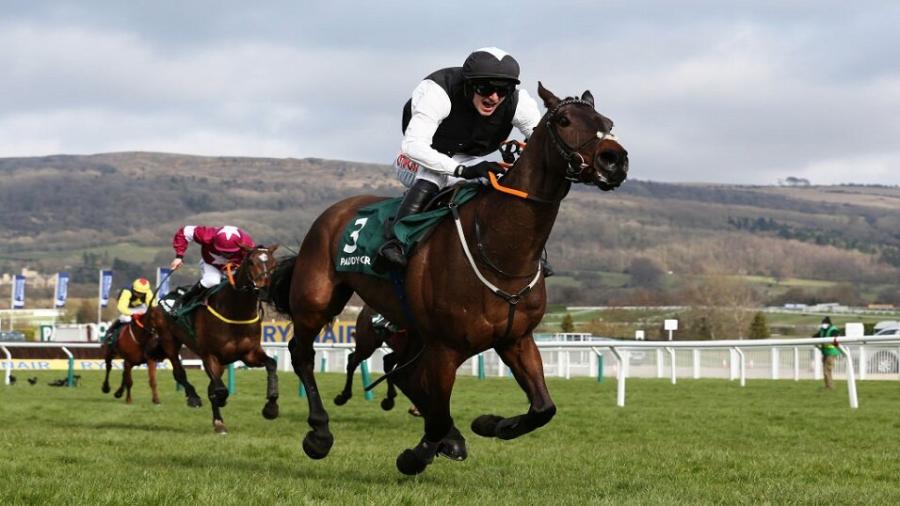 Flooring Porters wins Stayers 2021.jpg