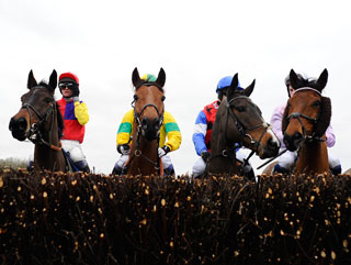 Who will win the Leinster National?
