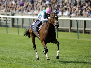 Frankel's rating puts him ahead of recent greats like Sea The Stars and Harbinger