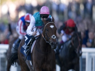 There's no doubt that 2011 belonged to Frankel