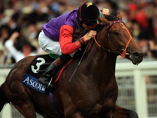 Free Agent: Looks the pick of the weights in the Further Flight Stakes