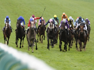 Can Fury (grey) bounce back and again lead home a big field?
