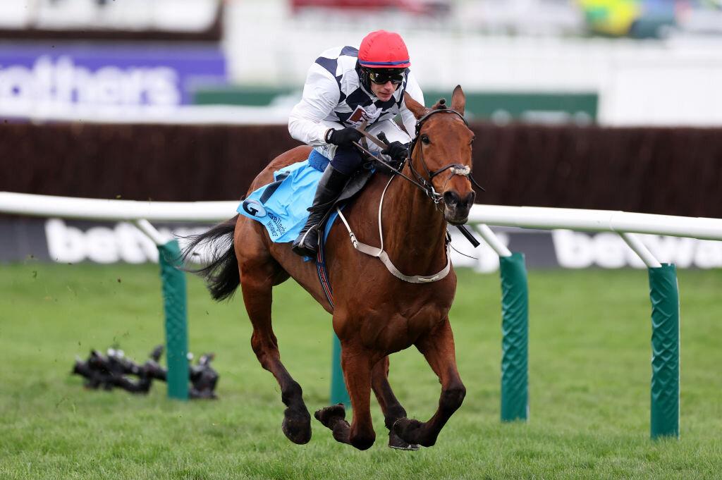 Ballyburn, Cheltenham Festival