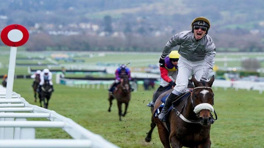 Gold Tweet wins at Cheltenham.jpg