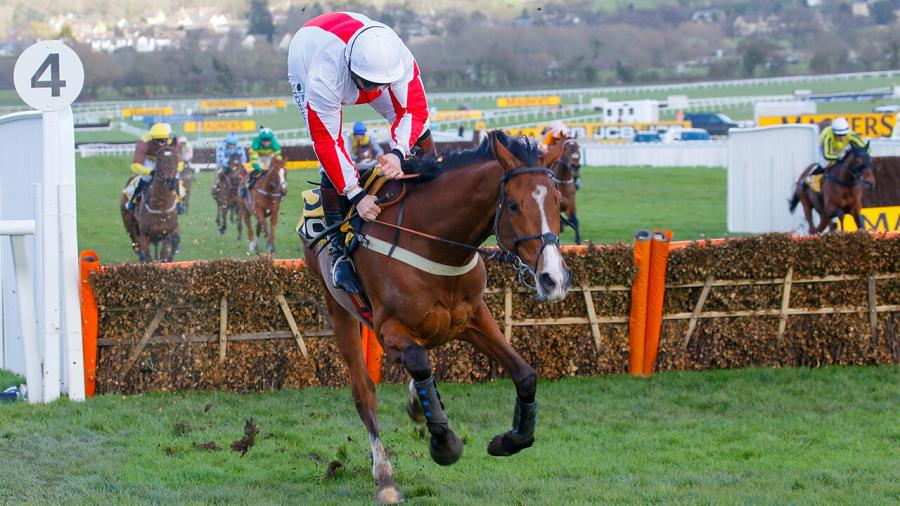 Goshen at Chelts 2020 1280.jpg
