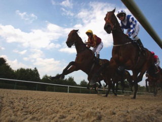 Two of today's bets come at Wolverhampton.