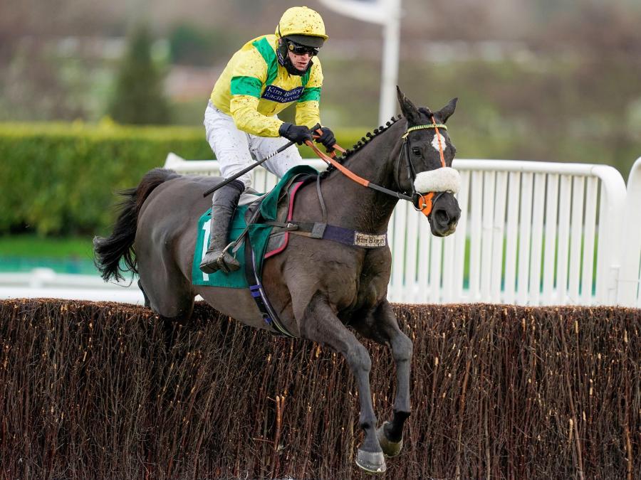 Happygolucky Cheltenham 111220.jpg