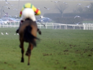 002 Timeform UK SmartPlays