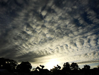 The Munster National is the feature race on todays jumps card at Limerick.