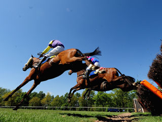 How will our Fakenham bets fare? 