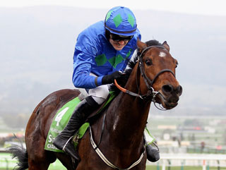 Hurricane Fly was the superb winner of the Irish Champion Hurdle