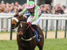 Katchit hasn't won since the 2008 Champion Hurdle but Alan King hopes to get the gelding back on track this season.
