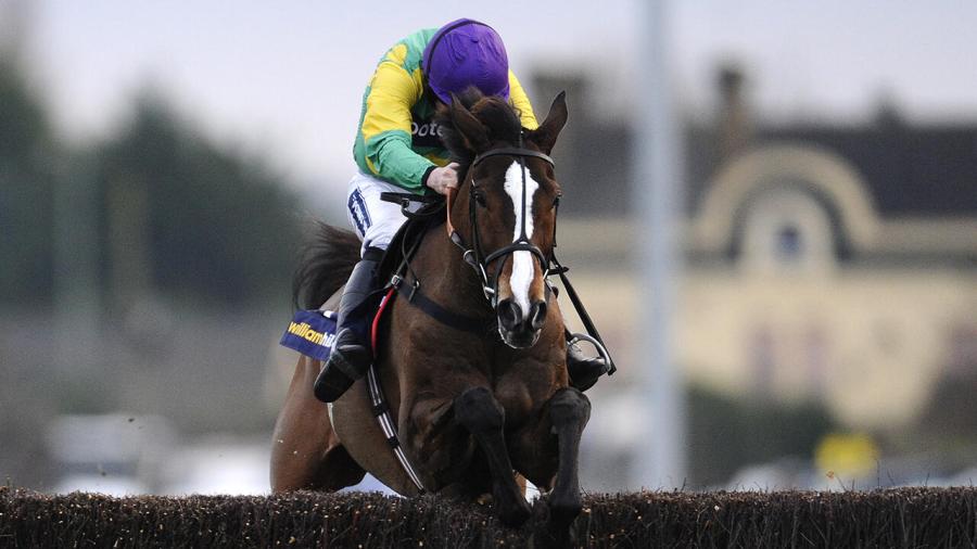 Kauto Star takes fence 1280.jpg