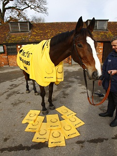Kauto Star put his stamp on the Betfair Chase - and is doing the same on our scarves