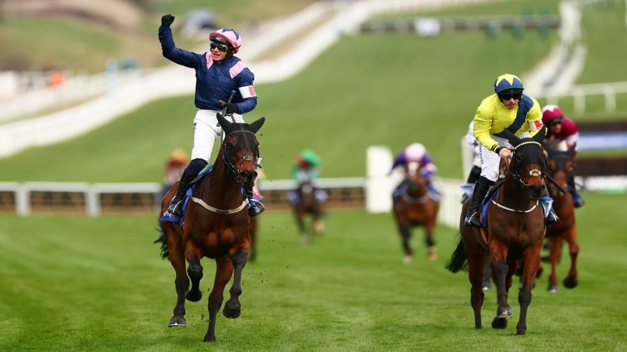 Kopek Des Bordes wins at Cheltenham.jpg