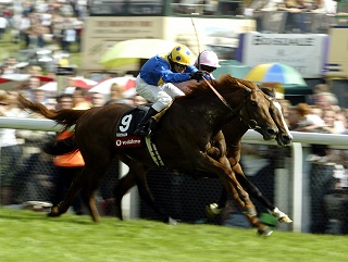 Kris Kin: Took the Dee Stakes en route to the Derby in 2003