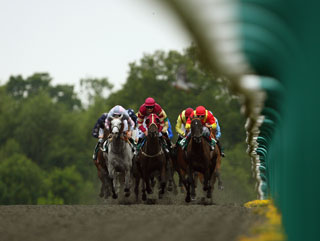 FTM have two bets at Lingfield this afternoon
