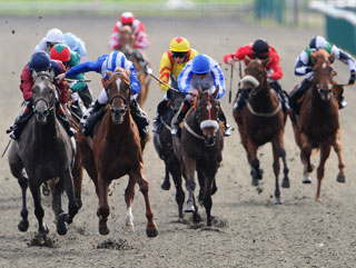Lingfield is the venue for today's first bet 