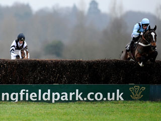 007 Timeform Radio Tip