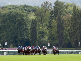 Longchamp's Arc meeting begins on Saturday.