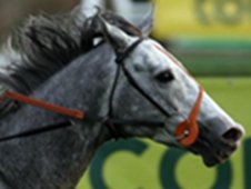 Malt Or Mash - the Richard Hannon-trained winner of the 2007 November Handicap