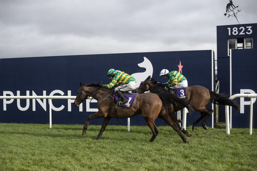 Midnight Maestro Punchestown.png