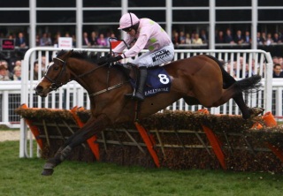 Mikael D'Haguenet looks set to take his chance in a fiercely competitive renewal of the Drinmore.