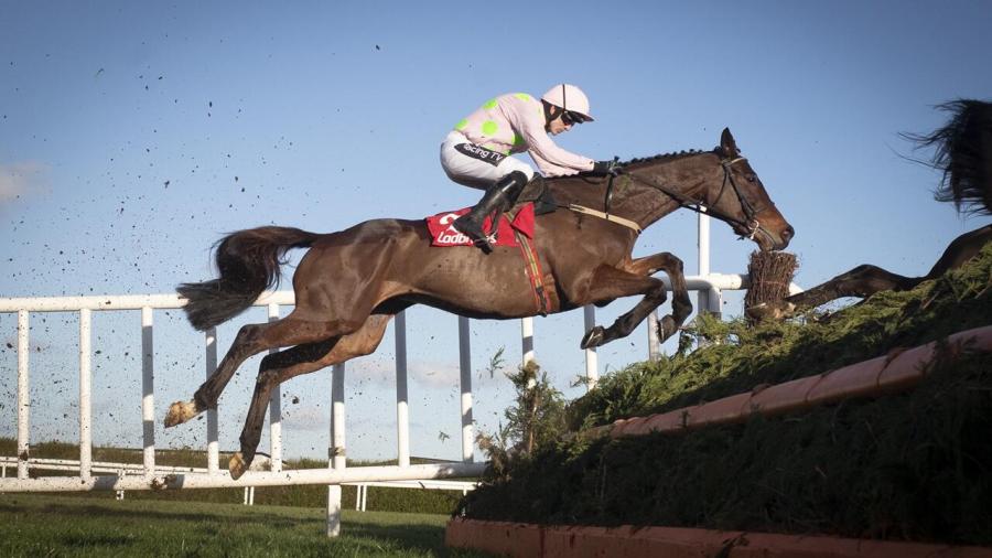 MinLeopardstown1280.jpg