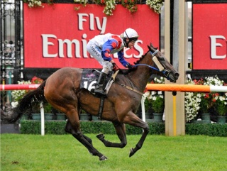 Mosheen has completed the Australian Guineas – Randwick Guineas double