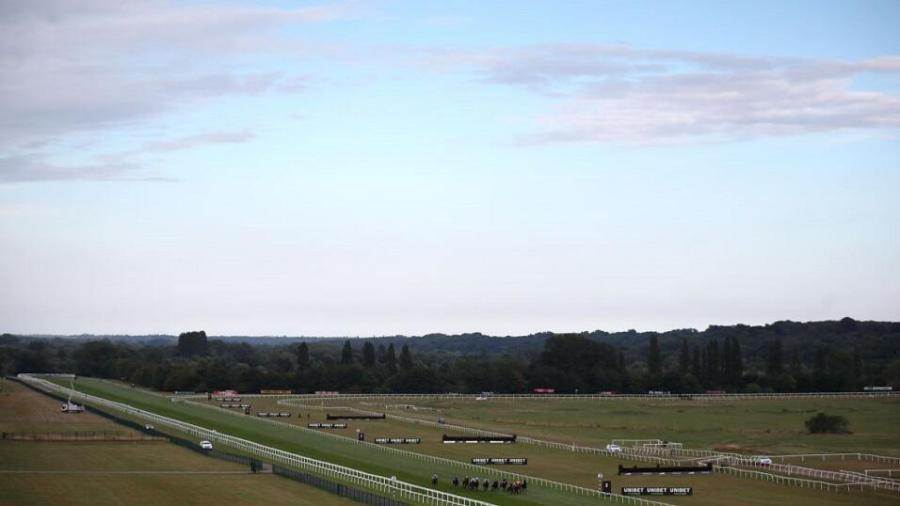 Newbury course view.jpg