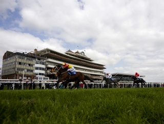 Today's lay runs at Newbury (above)