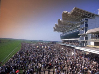 Can Restiadargent or Topeka book a ticket to Newmarket for the Guineas?