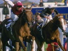 Oh So Sharp (left) claims the 1985 St Leger, also pictured third-placed Lanfranco