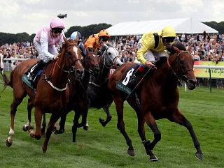 Can Opinion Poll improve upon his second place in the Ascot Gold Cup?