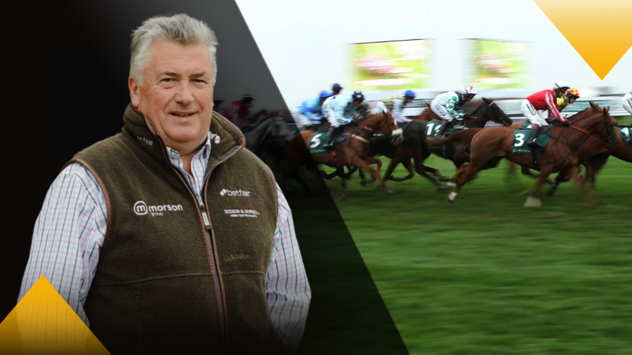 Paul_Nicholls_runners_in_line.png