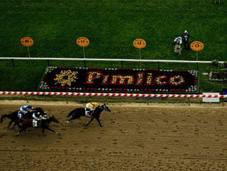 003 Timeform US SmartPlays