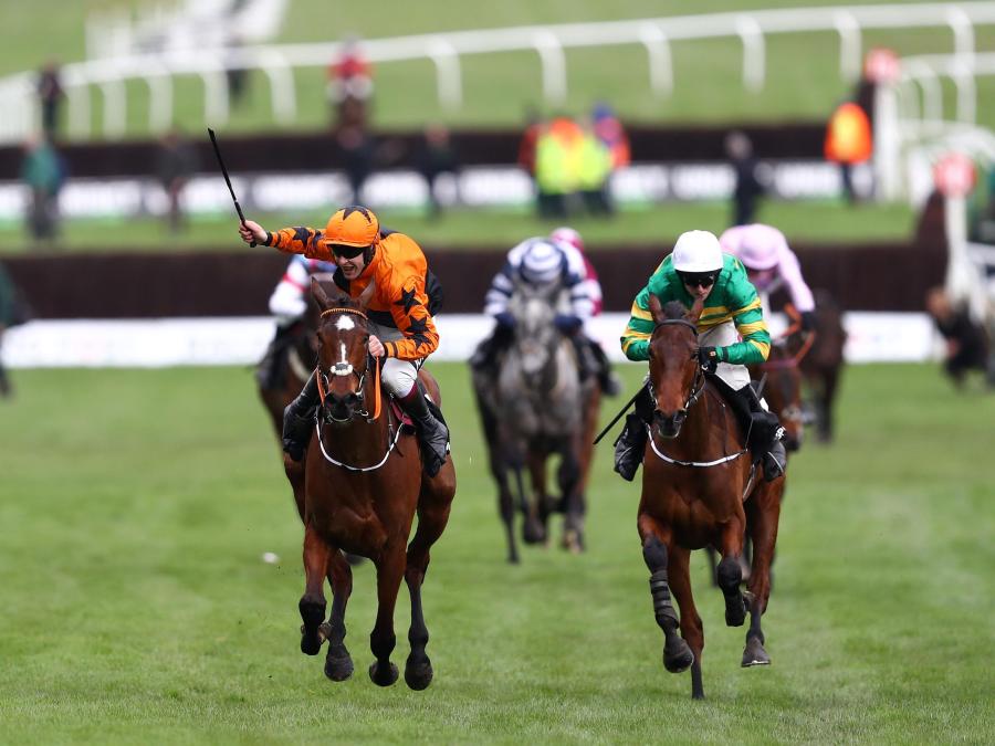 Put The Kettle On Fakir d'Oudaries Arkle 2020.jpg