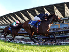 Breeders' Cup