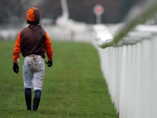 Sam Waley-Cohen after parting company with Roulez Cool at Cheltenham