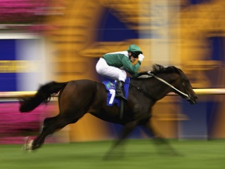 Samaready looks well worth backing at Rosehill