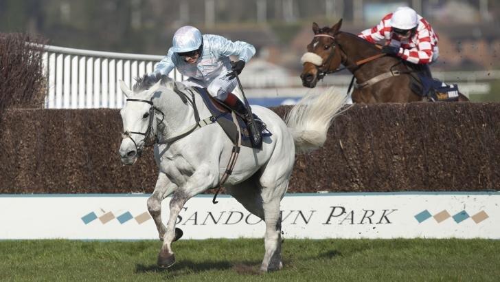 SandownParkFence1280.728x410.jpg