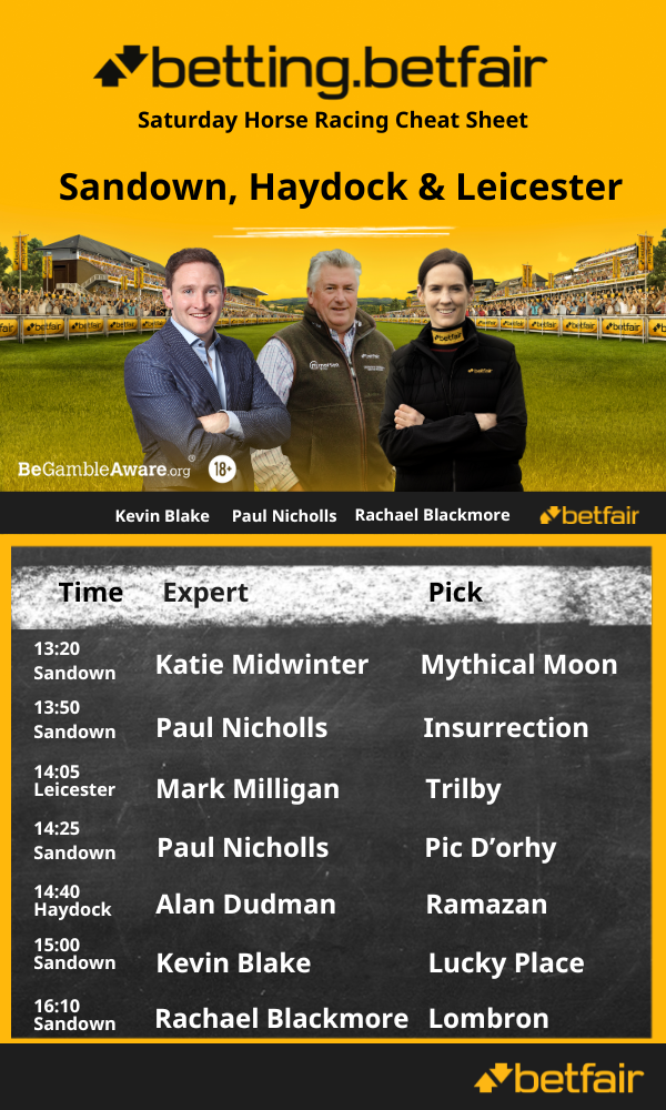 Sat Tips Image.png